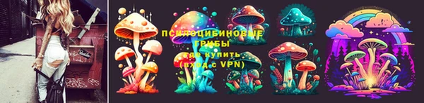 гидропоника Алзамай