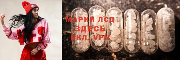 гидропоника Алзамай