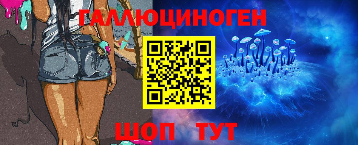 Осинники  Галлюциногенные грибы мицелий  Вход с VPN  Псилоцибиновые грибы Magic Shrooms 